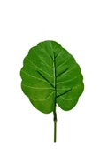 DDPEST 9 Dallı 30 Cm Dekoratif Yapay Çiçek 9 Dal Demet Yapay Yaprak 30 Cm-lw - 5