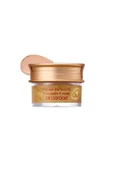 SKINFOOD Salmon Concealer Kapatıcı Krem (01) 10g - 1