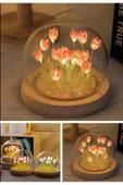 10 Ledli Pembe Laleler Cam Küre Gece ve Masa Lambası Dekoratif Hediye Cam Küre Yeni Nesil El Yapımı - 1