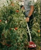 Pubert FAIRTILL 40 V Akülü Çapa Makinesi - 6