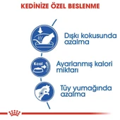 Royal Canin Indoor Ev Kedileri İçin Kedi Maması 2 Kg - 3