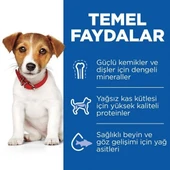 Hills Puppy Small & Mini Kuzu Etli Küçük Irk Yavru Köpek Maması 6 Kg - 3