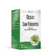 Saw Palmetto - 1