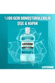 Listerine Cool Mint Hafif Tat Alkolsüz ağiz Bakim Suyu 250 ml - 5