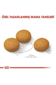 Royal Canin Medium Dermacomfort Yetişkin Köpek Maması 12 Kg - 4