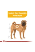 Royal Canin Medium Dermacomfort Yetişkin Köpek Maması 12 Kg - 2