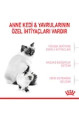 Royal Canin Mother Babycat Kedi Maması 2 KG thumbnail 7