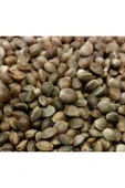 Yerli Çedene 1000 gr - 1