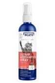 BEAVIS Catnip Motivation Spray Kediler Için Oyun Spreyi 100 ml - 1