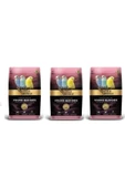 Gold Wings Premium Yavru Muhabbet Kuşu Yemi 1 Kg (3 ADET) - 1