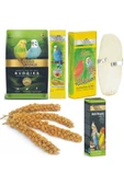 Gold Wings Muhabbet Yemi 1 Kg. Ballı Yem 1x2 Adet Kalamar Kemiği 1x2 Adet+multi Vitamin 20 Ml + 4 Adet Dal Darı - 1