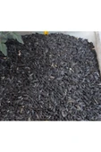 MOYASHOP By Tuna Kuruyemiş Papağan Siyah Çekirdek Yemi Kuş Yemi 1 kg - 1