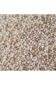 MercanPetStore Ak Darı Sade Kuş Yemi 5 Kg Muhabbet Kuşu Hint Bülbülü Papağan Yemi - 1