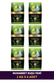 Gold Wings Muhabbet Kuşu Yemi 1 Kg X 6 Adet - 1
