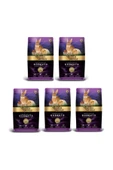 Gold Wings Premium Gold Wings Rodents Kemirgen 5' li Paket Yem 750 gr - 1