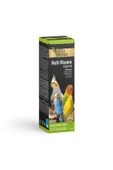 Gold Wings Premium Multi Vitamin Kuşlar Için Tüy Oluşum Desteği 20ml - 1