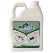 Bermuda EW - 1