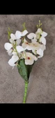 45 cm Yapay Islak Orkide Dekorasyon Beyaz Orkide Demeti thumbnail 1