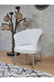 Tekli Krom Tel Ayak Krem Döşeme Papatya Çay Seti Koltuk Takımı , Balkon, Salon, Ofis, Cafe Koltuk Takımı - 3