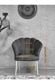 Tekli Krom Tel Ayak Krem Döşeme Papatya Çay Seti Koltuk Takımı , Balkon, Salon, Ofis, Cafe Koltuk Takımı - 4