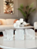 Linanware 6'lı Viski/kokteyl Tasarım Cam/dışı Silikon Kaplı Bardak 200 ml DSG-13 thumbnail 2