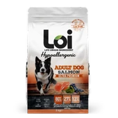 Loi Yetişkin Somonlu Köpek Maması 3 Kg - 1