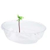Kaplumbağa Bahçesi - 5