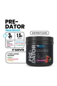 Bigjoy Sports Bigjoy Pre-workout Predator 17 Servis 289 gr - Orman Meyveli - 2