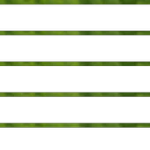 Dere Otu Tohumu 50g thumbnail 1