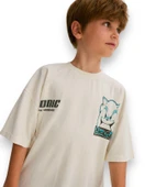 Sonic Erkek Çocuk Tişört thumbnail 1