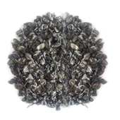 Beta Tea Yeşil Çay 1000 gram (B.864) - 2