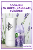 Air Wick Freshmatic Otomatik Sprey & Lavanta Yedek Sprey Oda Kokusu Kiti - 6