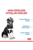 Royal Canin Puppy Maxi Büyük Irk Yavru Köpek Maması 15 KG - 7