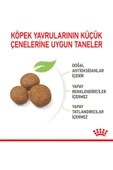 Royal Canin Puppy Maxi Büyük Irk Yavru Köpek Maması 15 KG - 8