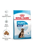 Royal Canin Puppy Maxi Büyük Irk Yavru Köpek Maması 15 KG - 4