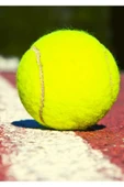 AE Market 1 Adet Sarı Tenis Topu Antrenman Tenis Topu - Tennis Ball Tenis Topu - 5