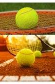 AE Market 1 Adet Sarı Tenis Topu Antrenman Tenis Topu - Tennis Ball Tenis Topu - 8