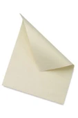 Schoeler Söhler Teknik Resim Kağıdı (50x70 5 Adet )200 gr - 2