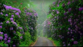 Mor Çiçekli Yeşil Orman Patika Yol Manzaralı Duvar Kağıdı thumbnail 7