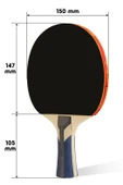4LÜ Çantalı Masa Tenisi Raketi Seti Amatör Başlangıç Seviye Maç Raketi 2 Raket 2 Top - 4