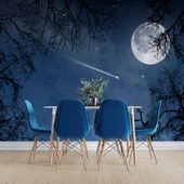 Gece, Ay ve Yıldız Gökyüzü Manzaralı Duvar Kağıdı thumbnail 5