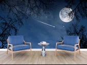 Gece, Ay ve Yıldız Gökyüzü Manzaralı Duvar Kağıdı thumbnail 6