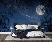 Gece, Ay ve Yıldız Gökyüzü Manzaralı Duvar Kağıdı thumbnail 2