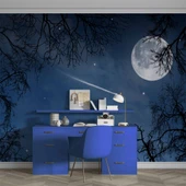 Gece, Ay ve Yıldız Gökyüzü Manzaralı Duvar Kağıdı thumbnail 4