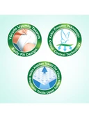 Evony Belbantlı Yetişkin Hasta Bezi L Beden 30x4 120 Adet thumbnail 2