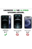 Iphone 12 / 12 Pro Uyumlu Pembe Figürlü Silikon Kılıf - 2