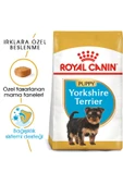 Royal Canin Yorkshire Terrier Yavru Köpek Maması 1500 G - 1