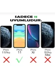 Iphone 11 Uyumlu Baklalı Desenli Kılıf - 2