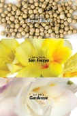 AVON Perceive Nemlendirici Vücut Losyonu 125ml - 2