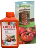 Çoklu Set Ekolex Sıvı Bitkisel Menşeli Organik Gübre Köy Domatesi Tohumu Çeri Domates Tohumu 10Gr - 1